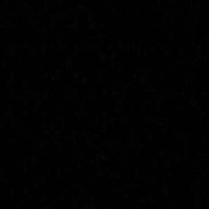 Meet your Posher, Nicholas